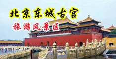 操小穴3D好爽操逼中国北京-东城古宫旅游风景区